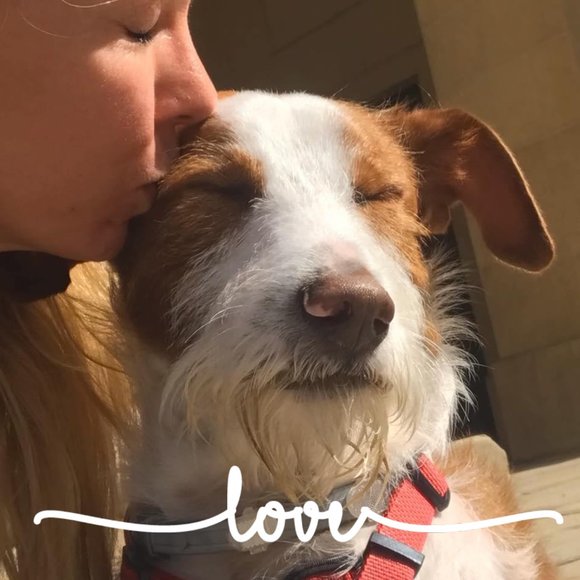 Meet your Posher, Jennifer - Picture 1 of 1